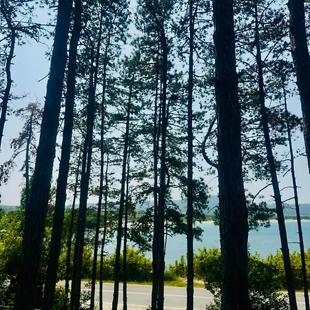 Marena - Santa Marina, Süzebolu